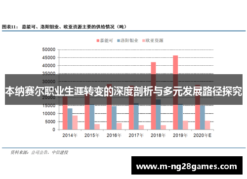 本纳赛尔职业生涯转变的深度剖析与多元发展路径探究