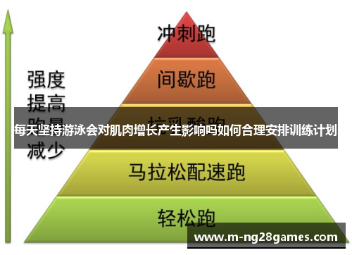 每天坚持游泳会对肌肉增长产生影响吗如何合理安排训练计划