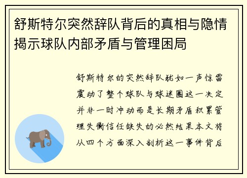 舒斯特尔突然辞队背后的真相与隐情揭示球队内部矛盾与管理困局
