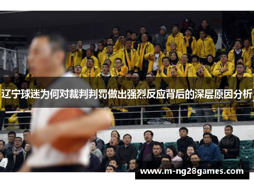 辽宁球迷为何对裁判判罚做出强烈反应背后的深层原因分析