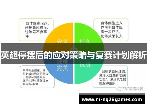 英超停摆后的应对策略与复赛计划解析 英超停摆后的应对策略与复赛计划解析