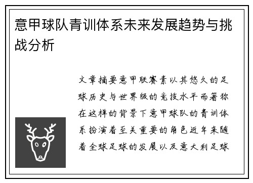 意甲球队青训体系未来发展趋势与挑战分析