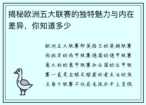 揭秘欧洲五大联赛的独特魅力与内在差异，你知道多少